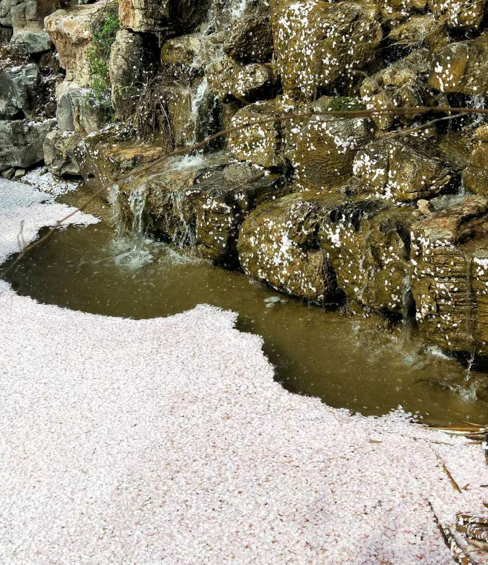 xQJ6xMAma01XrgzhL6vVjcaobJd3hFH10RuvxQ4qfbvwwKoiuJeh5lyXRNnqKe2t