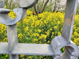 kZg7R6hGD7UGxyzhoIlQBQLGTX5ujg-uRafqf80oLzRaki_u4xVa7kTITJ_e5Kn9