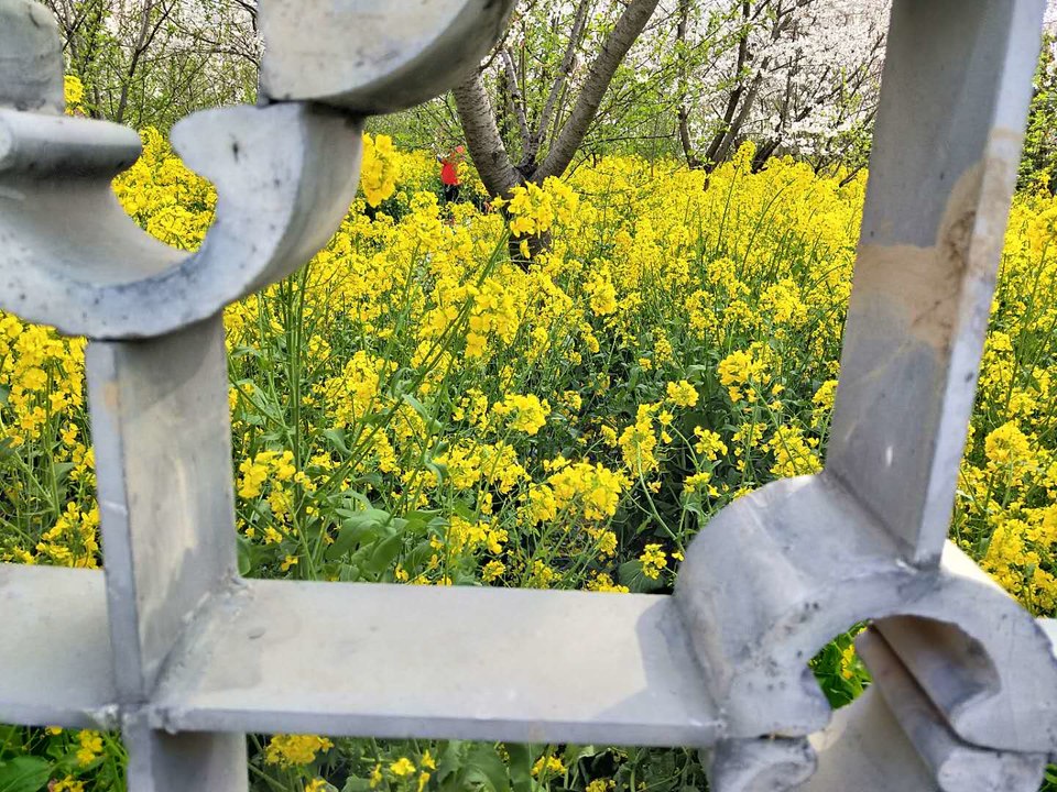 kZg7R6hGD7UGxyzhoIlQBQLGTX5ujg-uRafqf80oLzRaki_u4xVa7kTITJ_e5Kn9