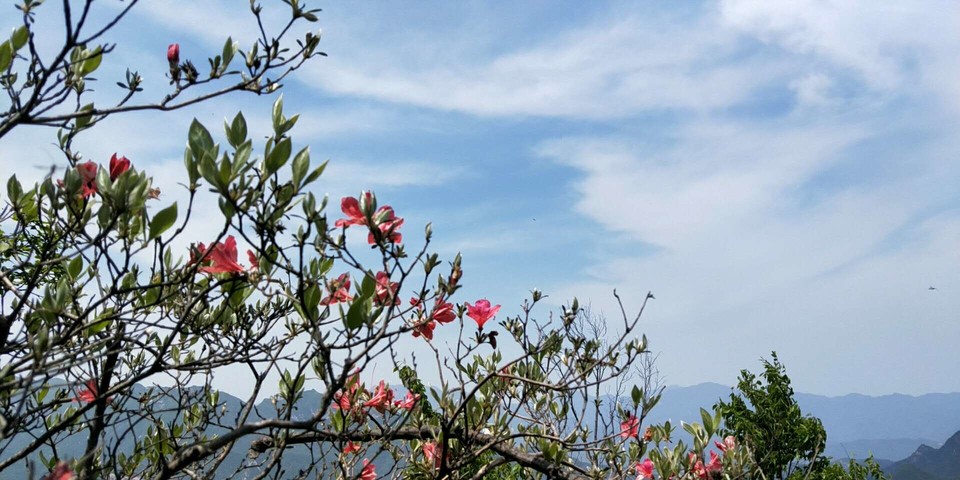 gKKFmwYnGSVAOVoneheC6lN5A_Gnv7ogiQMydLojydDC1UKJX-MOv7KVtHT1mmlI