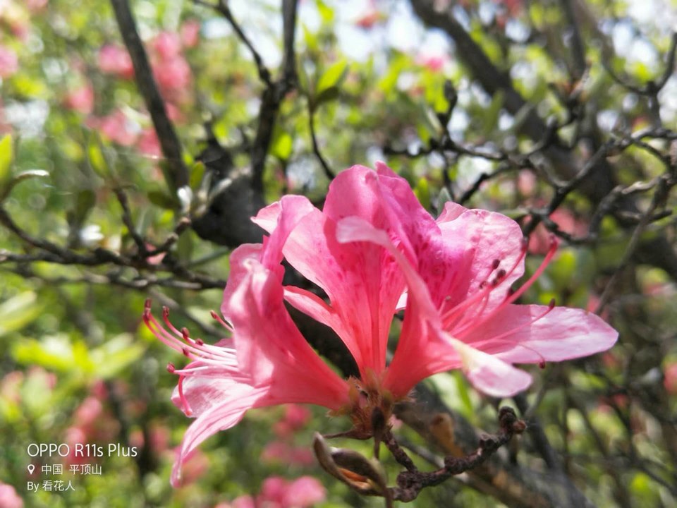 c-tSO6nQwTveZu-oF0ixGwyB3ampbYJ7F2W6nmh53Jufk4wULq3kWSUjP5YnquF3