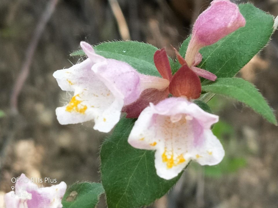 U_y9GqG7mXMgqEUIbDErr25ReYTD8L05w3C3Ft2ivf55xcTeGo-BJcZdO0tMeGmM