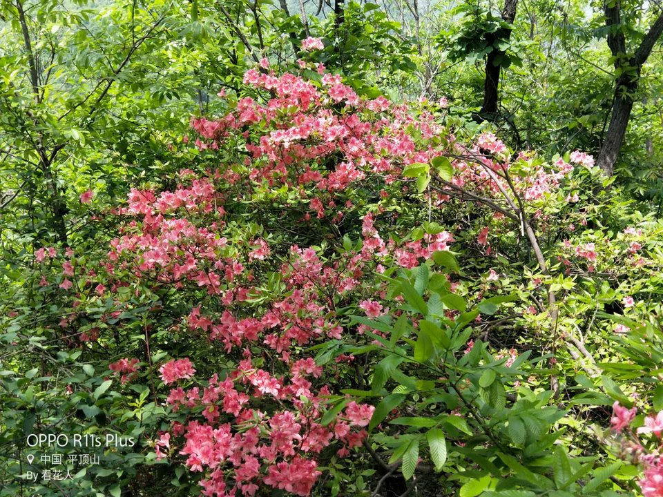 amimXeyUeB4LzeF3hoy8mlmIZ-T7Fhab97hLhhBXBct3lxdF_tcoN8utYvegGeLZ