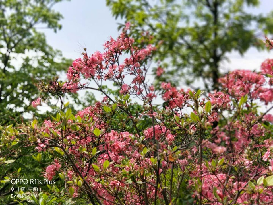 hjFB-ZxiMT7Cr3iOS0lPQsbKAqxCE6F8ijFmXlCxZzPML_E-uKRQZLmYChWXYkF9