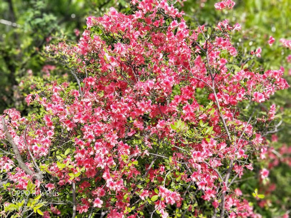 91E-FrQmjTz2eMTfImnkuoCSPqo05S4ND4eacO_ydoi8kcJ3Hf27OjwhK2L1-1tC