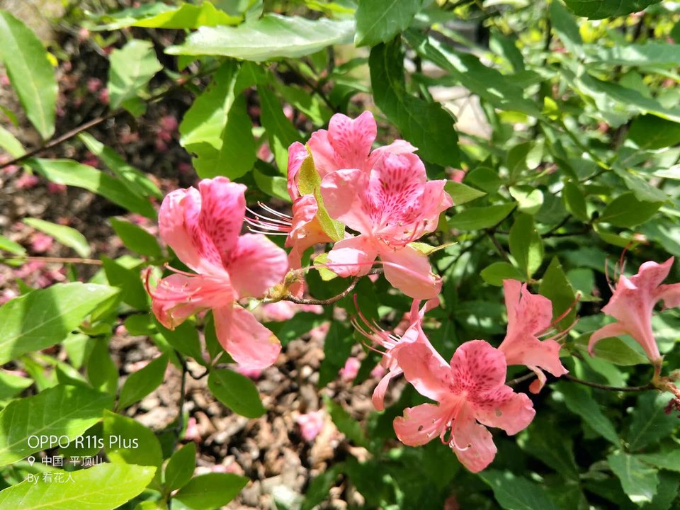 vHoa7etMi60vR-DGjcrSZaGHjvw58Gp_uGiLhu-8f-MugrKCUW2IfGzpkxwzfhWi