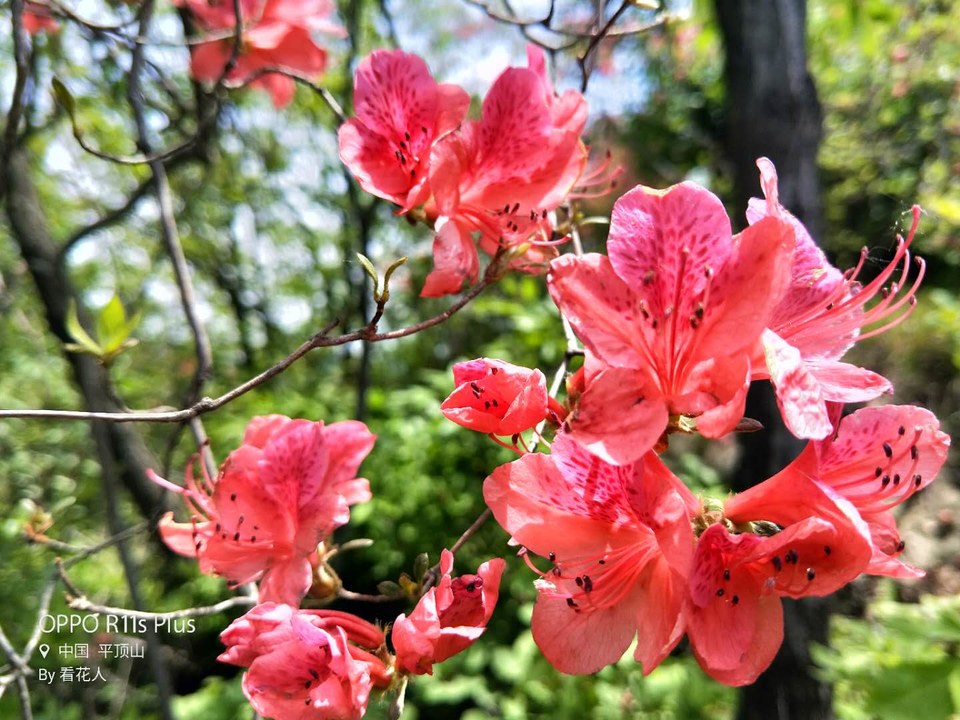 g5vp6mc4JzJ4HbNt5cx9GdWBVYwu-xw5v4Rc3zYkzLuYrCJdq32rK-5xsK7NJfXt