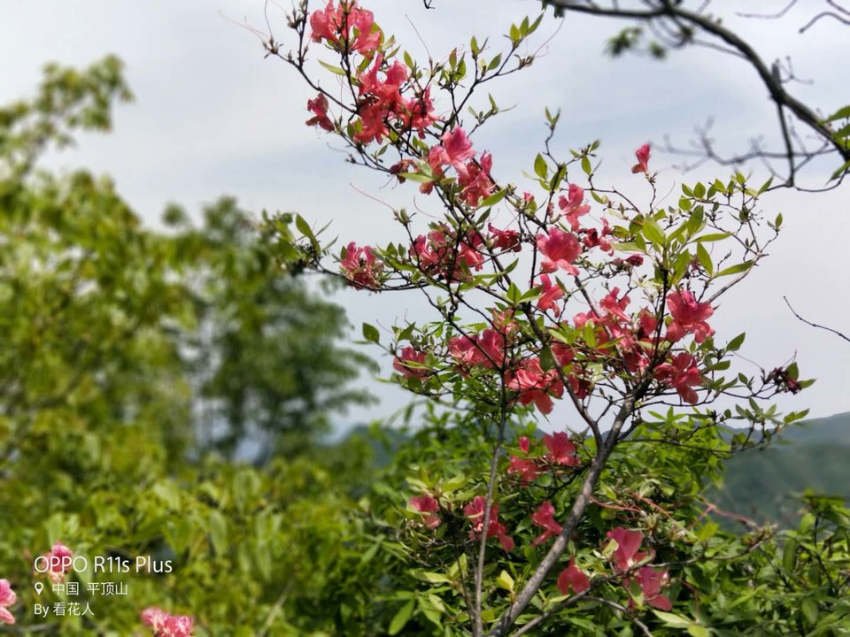 RRNBkx9aO43B1RjlQODS2ihbLpkRjnUinZ_vgQOSPwoKeX_4DG85kiDJ_n9sF4ag