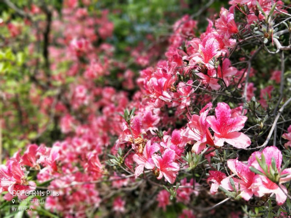 pnjIjQwZq13UCx2eZ2M6k1aJlQ1VGEqQDygLAOcIZj2oZXFK8Ppk7st0_zaPu4wN