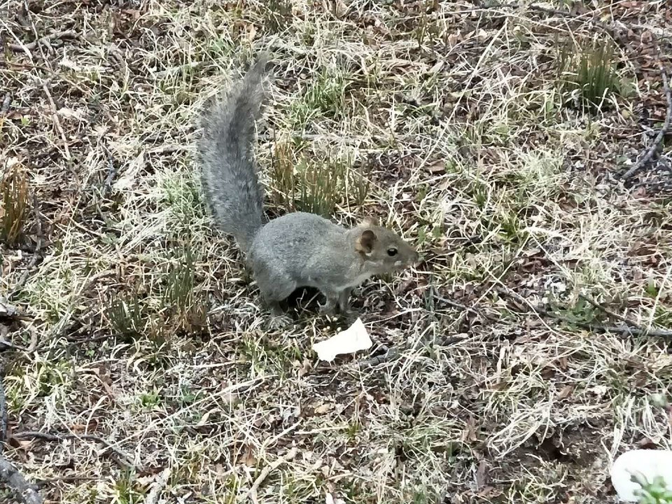 NYIRPw_uxU_KbcTCs85M8gmyIVnFXkyeC2f7-eJ28gTM5YD6GfRxwHvG2D8knswF