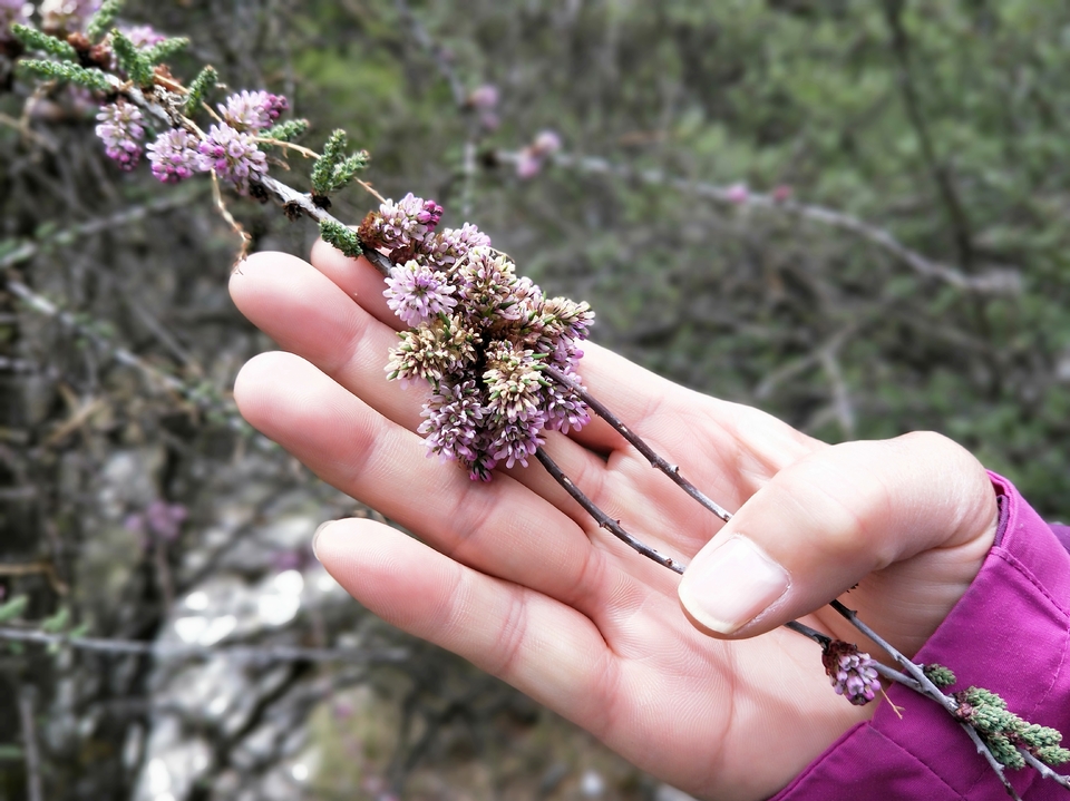 sRXdaWFEkAgpxrYD2IMBKrQ2uRHDGUW7JiM0OCLadmYMlqf_xsRwz37P_wEaQIT8