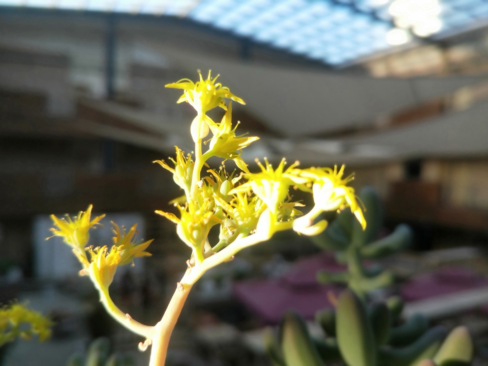 3qFsnQErqzU1C7m3EXnmzzZuPL38VYh3MTQ6yGoU7Kh397upvjmKeWE-RPdpotZg