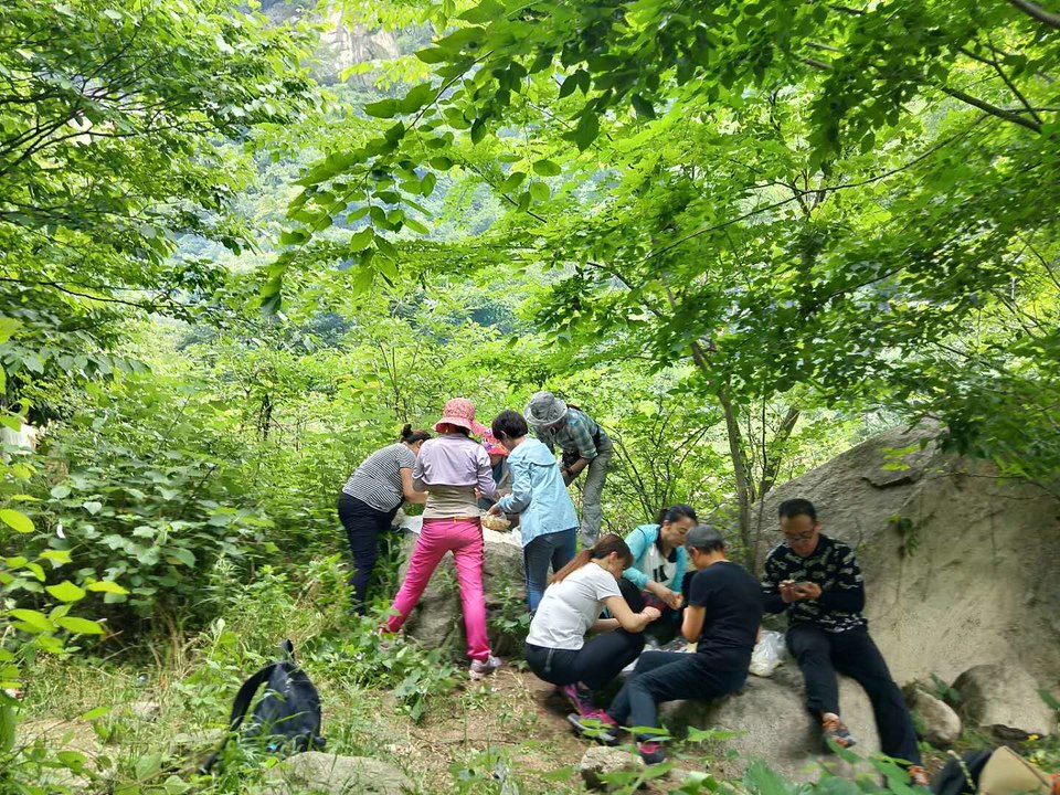 tfCqB0uL2UqonRtr_eLNRryZeAT1mqiwNDIZmhKIHsLbZa5FobngY7Sc9J5B94MT