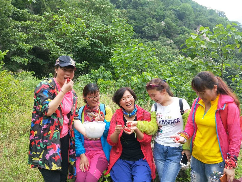 F0q5HaZfnJ-HognYSvOQY84MZQ3jj1_QxKw7ayu5uOYQk-tvh9hNH2qy75LULknx