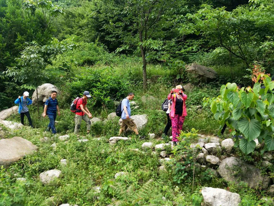 NTITqQAe4ZiftdsXm8yJa6c-b5C9PB3ie5Jaaq6bcFGSW2wnjWsaSRCrn8PaOo99