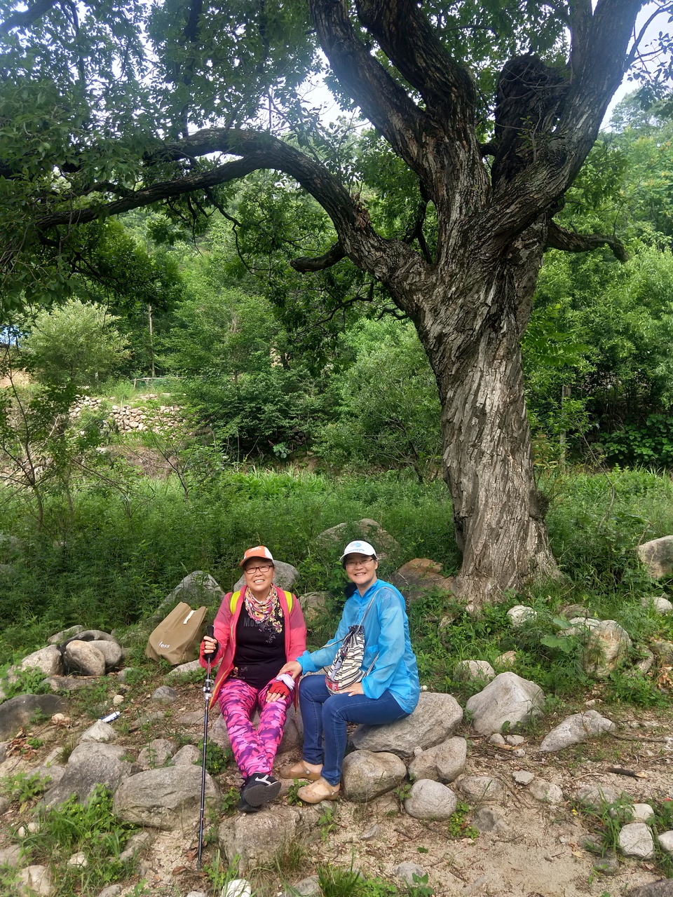 YS-cgM3LTckmPfBlxaE84jLwHQ-g2D38uqj6P3gvauYnxdJhXupzS7JthtBzDVdc