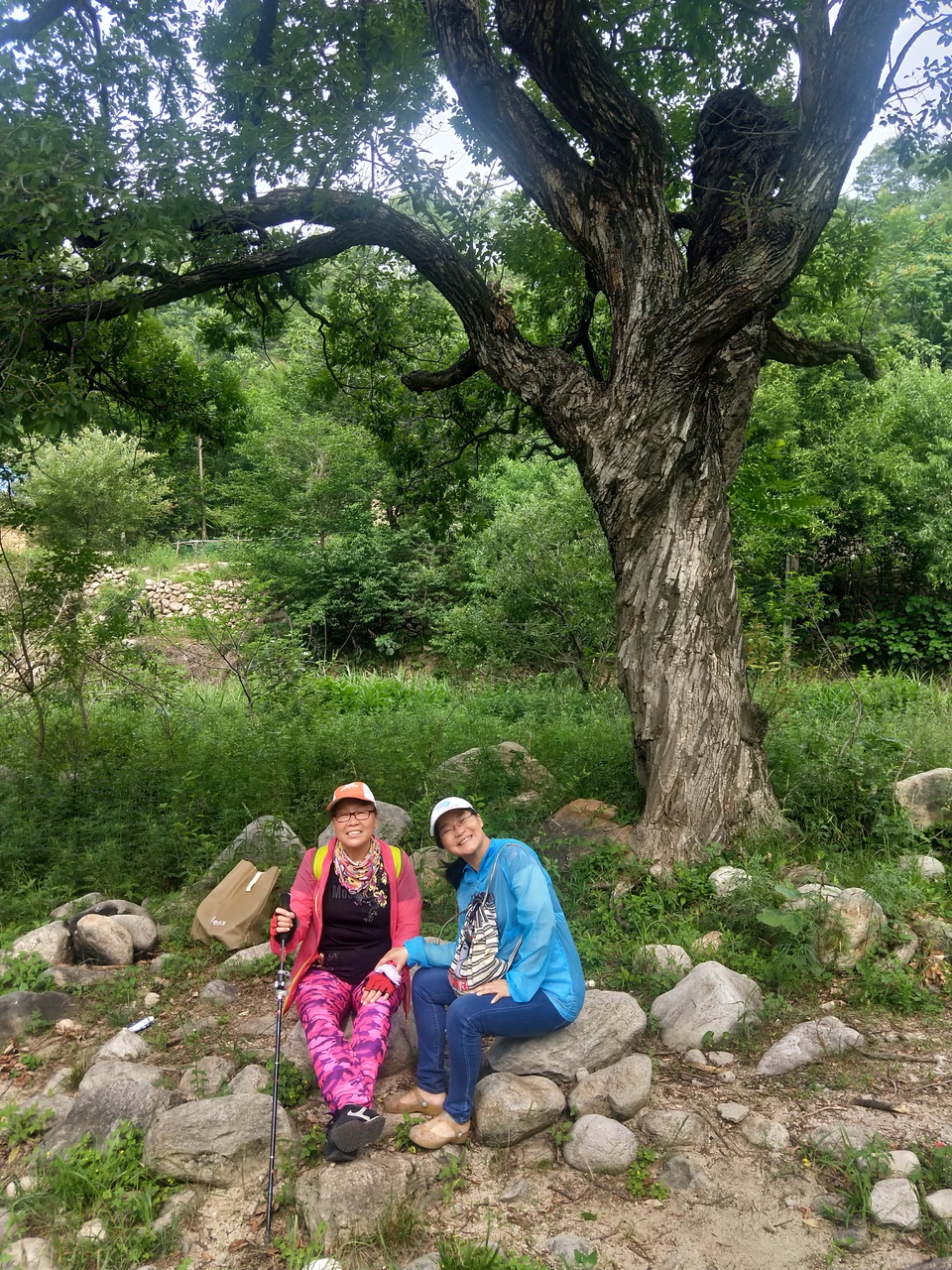 kvDuWR2KEwz2omMyPhR-cJUOgzqCRqURKeF72ciEcJS6nKN7yVMMSxZkcgsTylE1