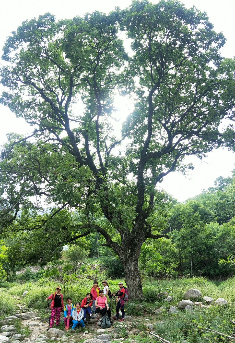 89sakq0MJuV7iswhi80coT4RyAUl2xH9mQaMGpLTawpFTOweAZrhIFEaA2V4q8Np