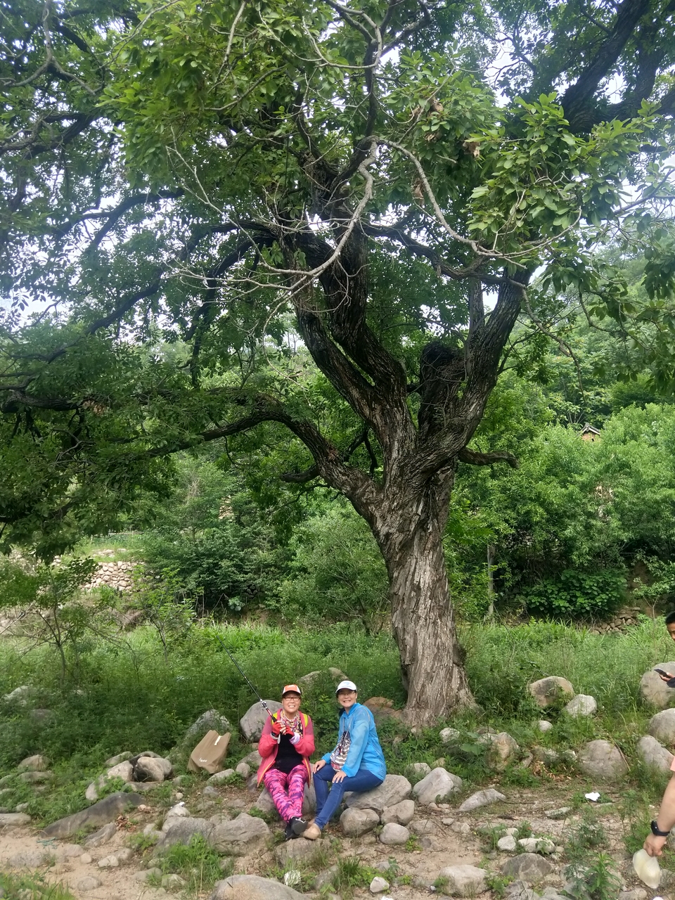 gv6bUpkHLWwQn_7GxvX-gleUu4Wy0E1PHJZLFnoqL3HnWkc1n1FN2LQ1mVkcLh8-