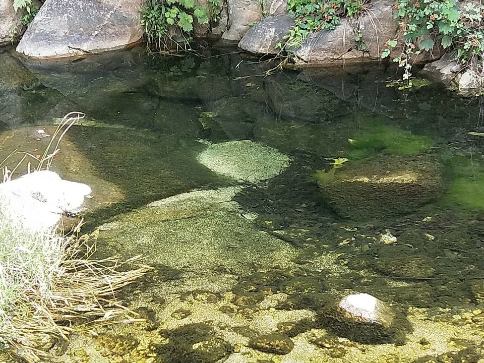 W0qNzprHN43DqyunZlQRAi_iM4SQe6PyqbG3gEKRJe022r4n3u7r7gh4olRGkzSw