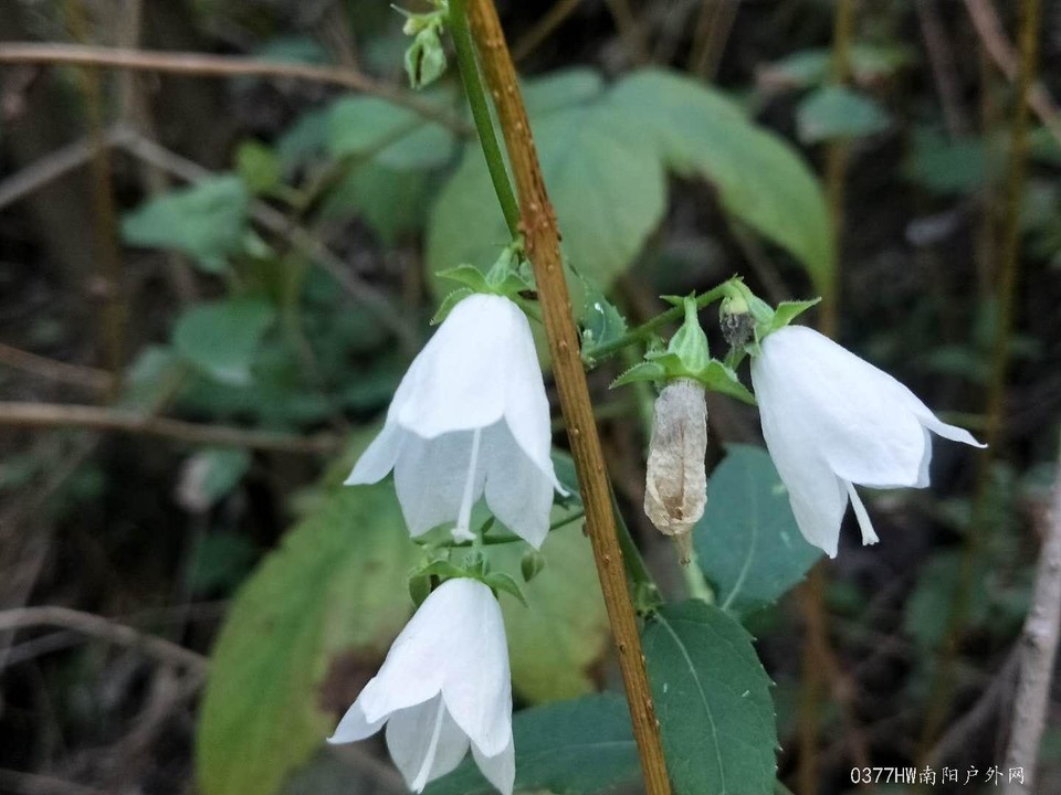 Sus9slgD6OSnC4OjXwu9QKWF7J0HWmOa13ifta9M-hW59N7iLUwgVUXSrxxSwh1T