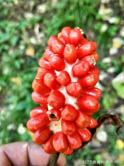 3UQQp-2VyB1FdvV-B0nzhhOVjrqdk8nYNuSW3hHbUDiQDG9bR86CNKctWouzoEM7