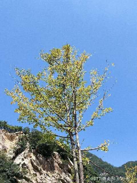 uGGCob9PQxHuIWWW-K35kIuxaNctQDsbcdMuJi_PRe2TahCl_4pOJW46C0-w24zK