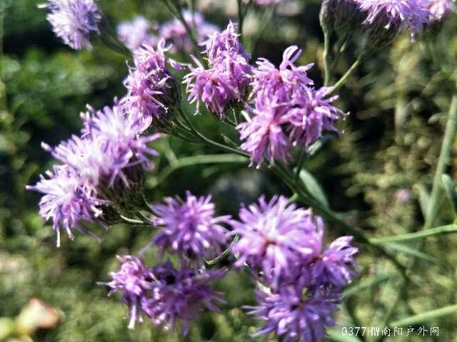 mHwtAGB8NKHrwArHF4UxjSTiF6ebCJsaaX2A9N6IOT-fq4fPWnpQVJz8Ojw1xei5