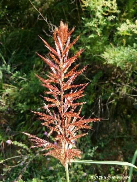 pXQg29lWwA0JfxMjMC2EQMuuBGhPraj2fvfXeeHugCAJEOzFC4WO4KbAkaX58td_