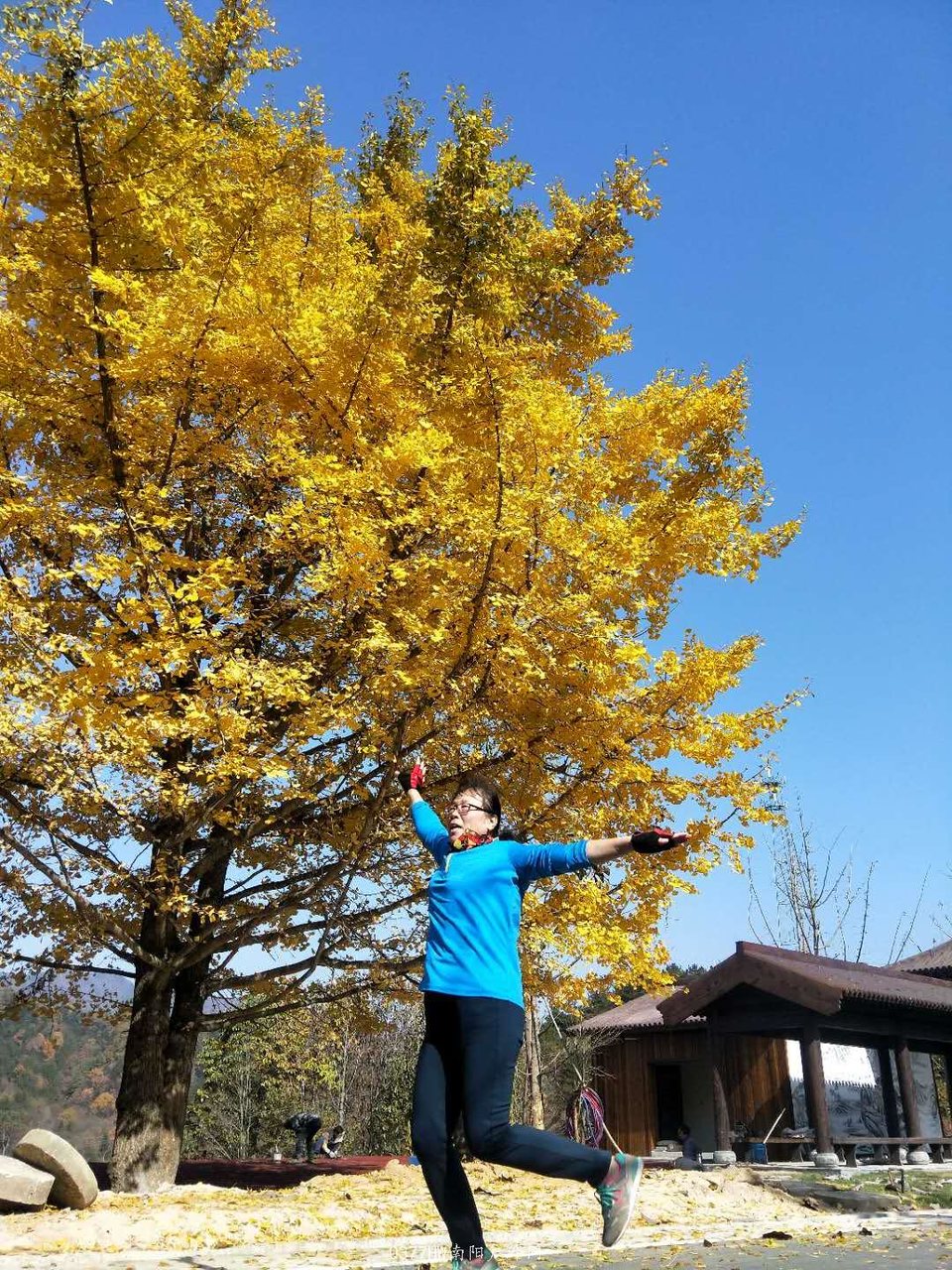 MYY6w8_8JmxYTI3joAlE-Zb3bJTz26iOV1XGlARci21neGKq-urMVS1gq514ixo6