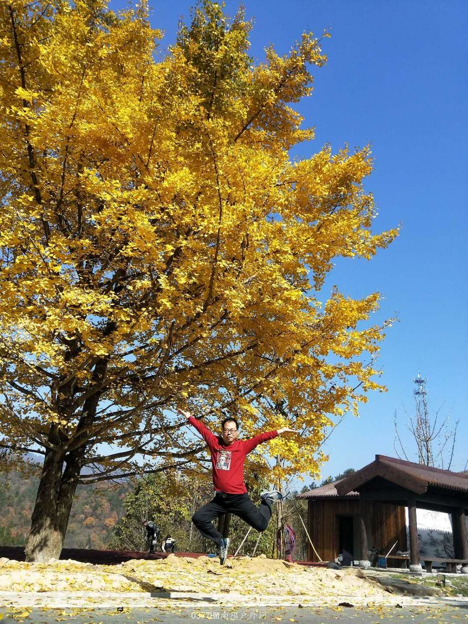 0DWWvD3KXNBPdl5sUsmAmsLfvnMoh-tl-5JCOLe8r22xPl7_yFNKf4BMIWgRbkLh