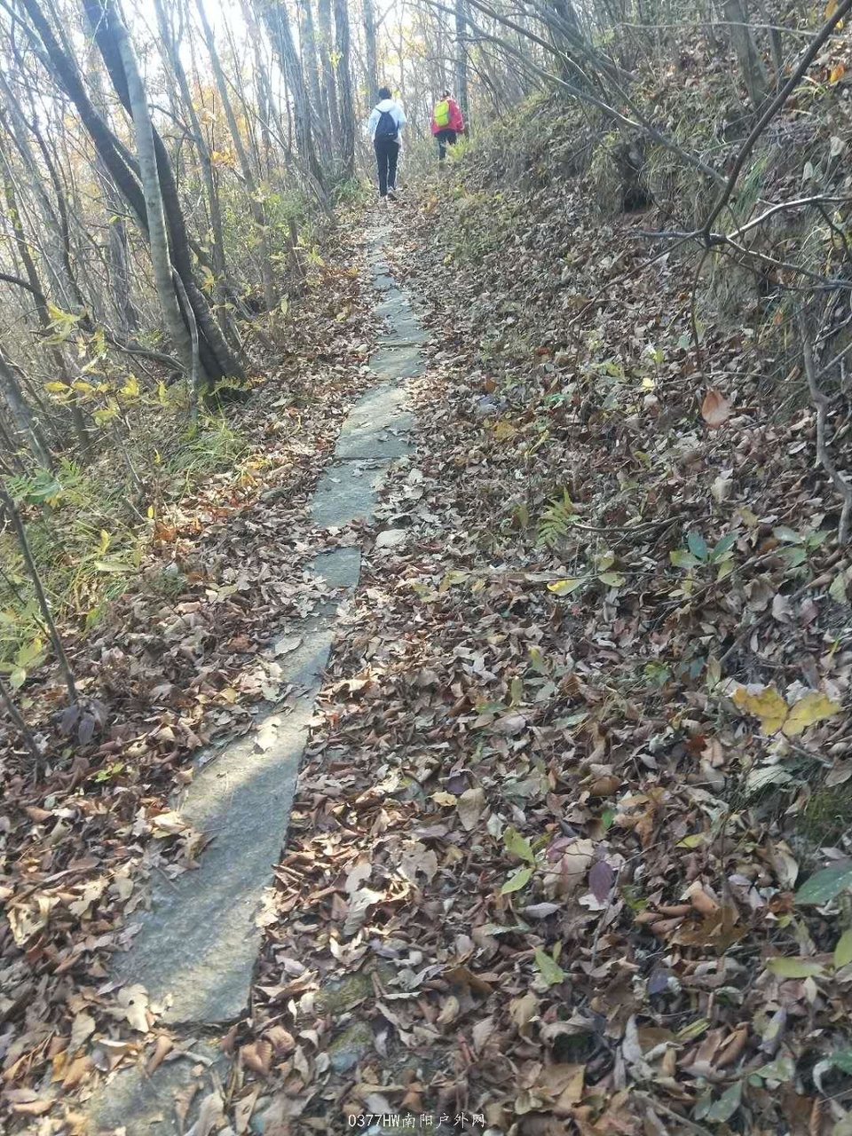 JZhko3QlafSe4di7J2rXPb3NKQGP2RcrGpsXo3o5qMgXrL5yqDJ9qSKqfjfYgDJc