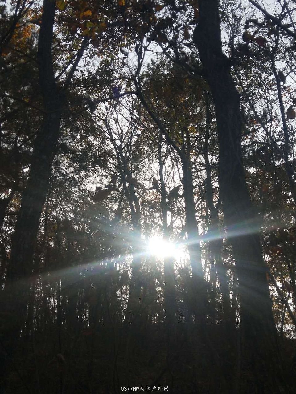 ibVpRqjEvvvY74QW9ACKiUQAKr06VlRU8wZUFxKwYmVrgBXZ5wkQ7-N-JcX5Sk72