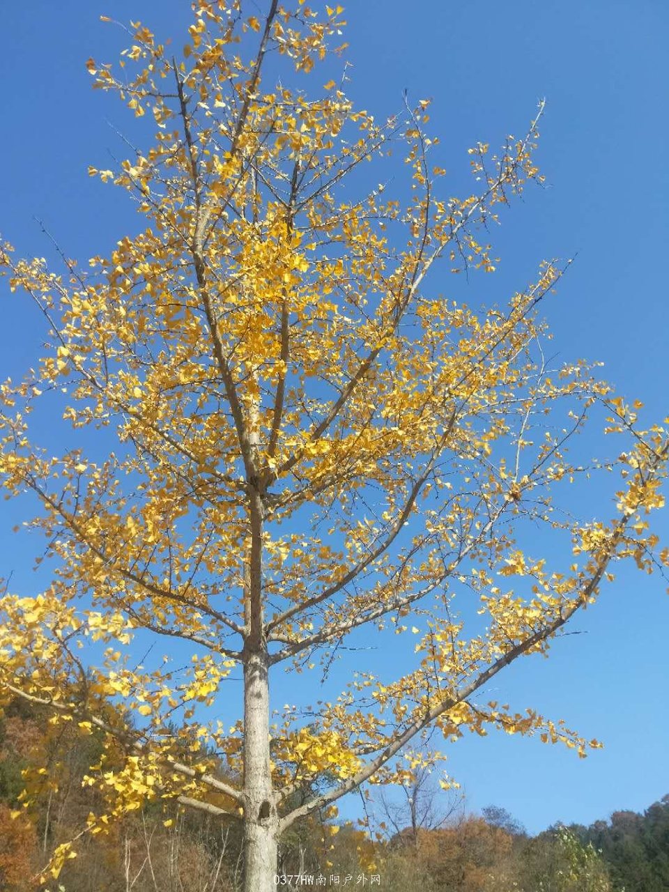 DPJwkGrhHq_qptXgDBneziNna4H4MKUkvcsJPXEQL2knytKLGKljxqH5kUqkfL8V