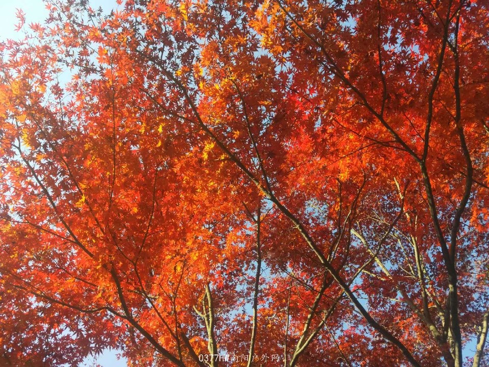 tvAFX5c2L3CmBy0s5XWR_1Y8GM7WFaYTaz_UyJXviAuAx4sFMyLWgGGojAlZOLh1