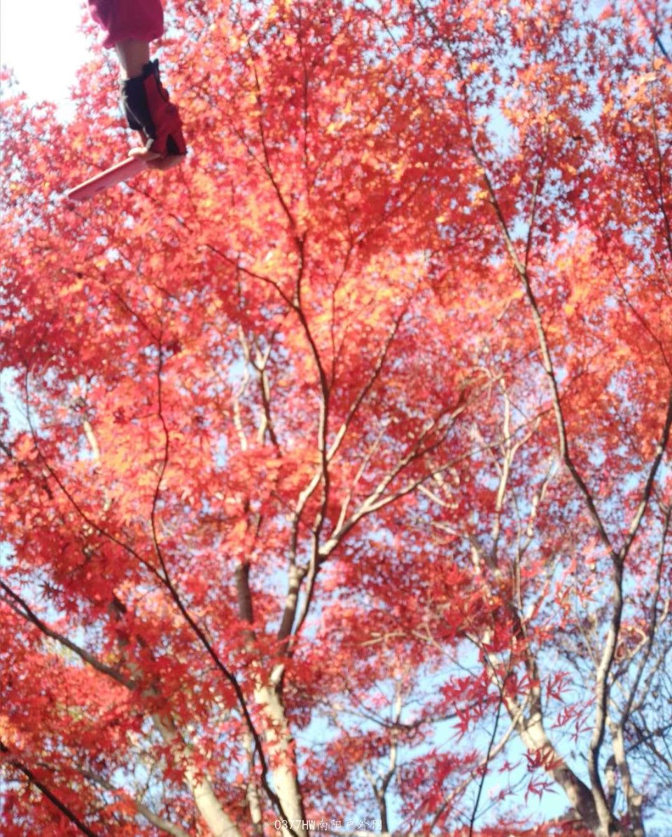 aqw3nt0KJgXqhMsDmGyCEuBUsz3_U2ngDM15g_wZQYd2i_pO6yKn3T7ElrhOFpxs