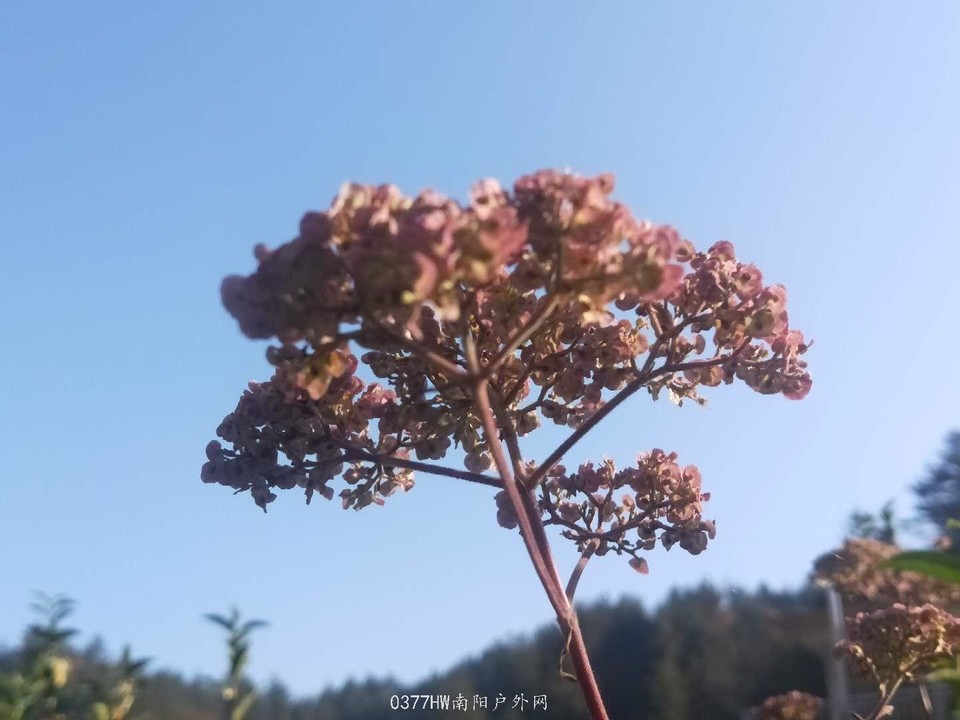 0XzS3Yss-LAiZvPVCFF1zOn7CnGHHb5QM-Q6ELxA9kHnat1Ja5khf6mV1FX3PVQX