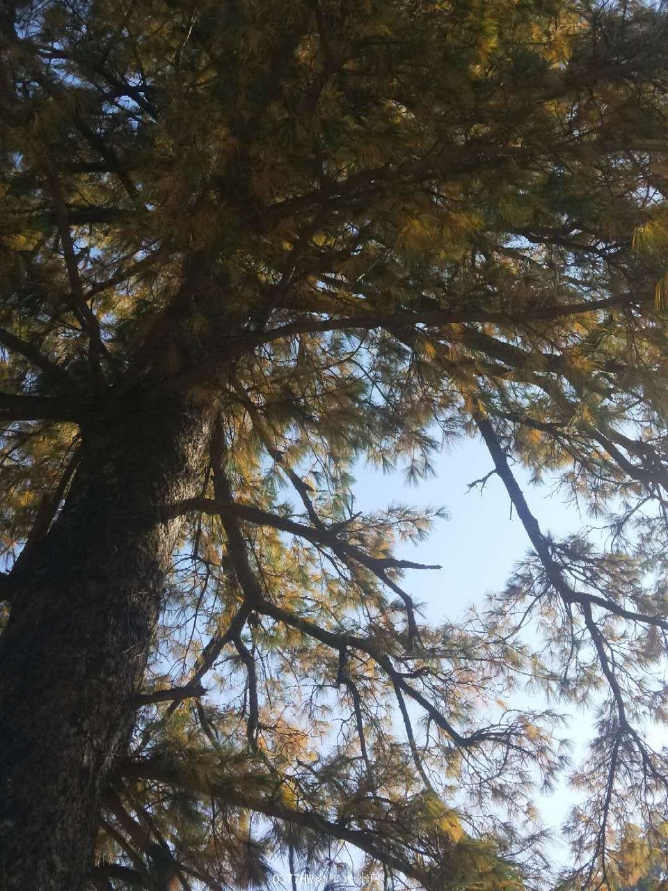 JiY-KWBW1eK-YOiauVYLVsMDJw8KBOg1P71hn9rxIpEyFOfIj19Cg7joEcMY5pio