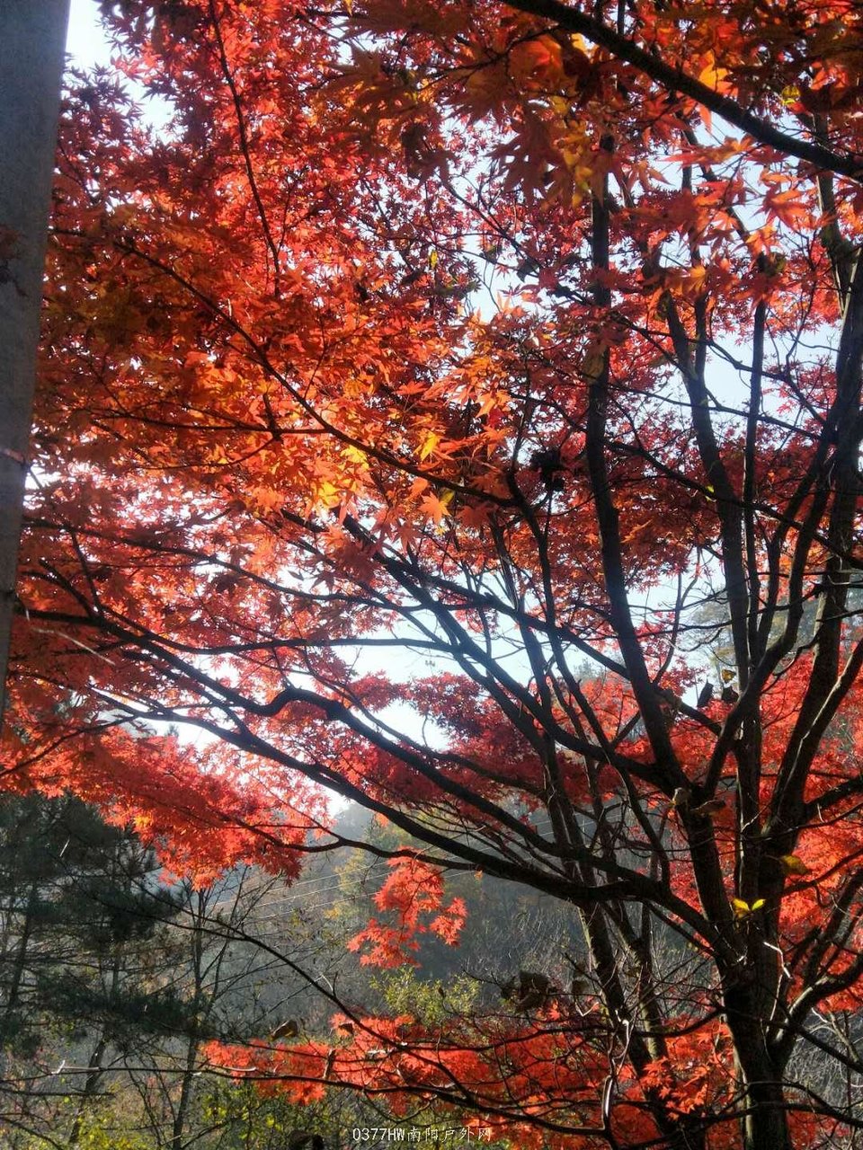 1xjN153I7HUEuaPQ9iwEDg-SIL7ZLPYv2Zv8BeGR5LLGl7DtD8DRYEZXgUY5ZOXU