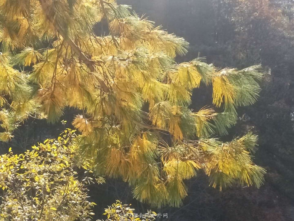 MATCbK1CN0omNljWa5AhAJJC6soAhpu2K5T8TqBTT6ZQC8ho7ffYP-JRmXrUsdz9