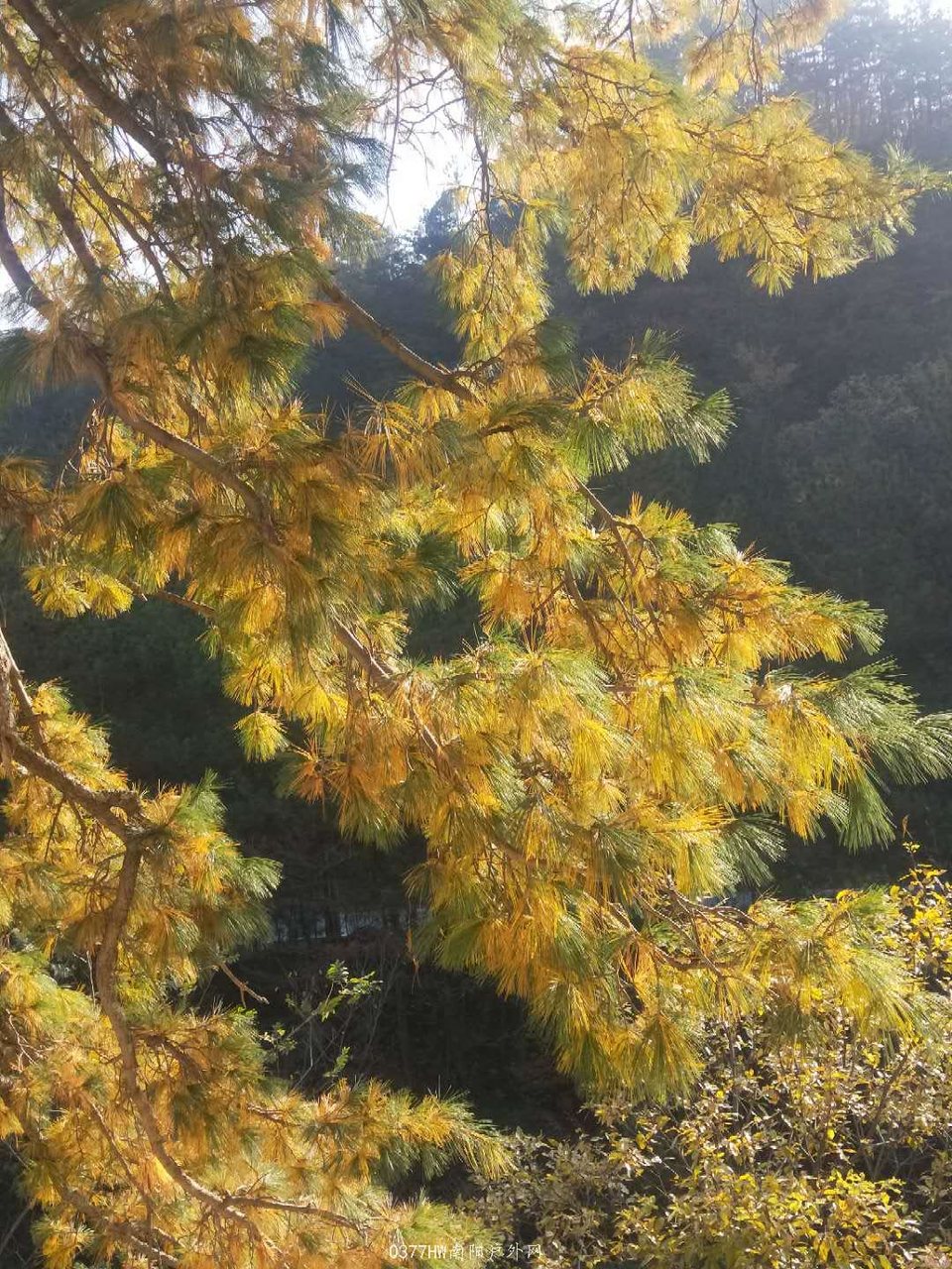 mSi7mPlsTITqFS4d1zdOMUg9-ys4biHsFpV6lU5beabFGIUvFM2gwDea7QtfDmXo