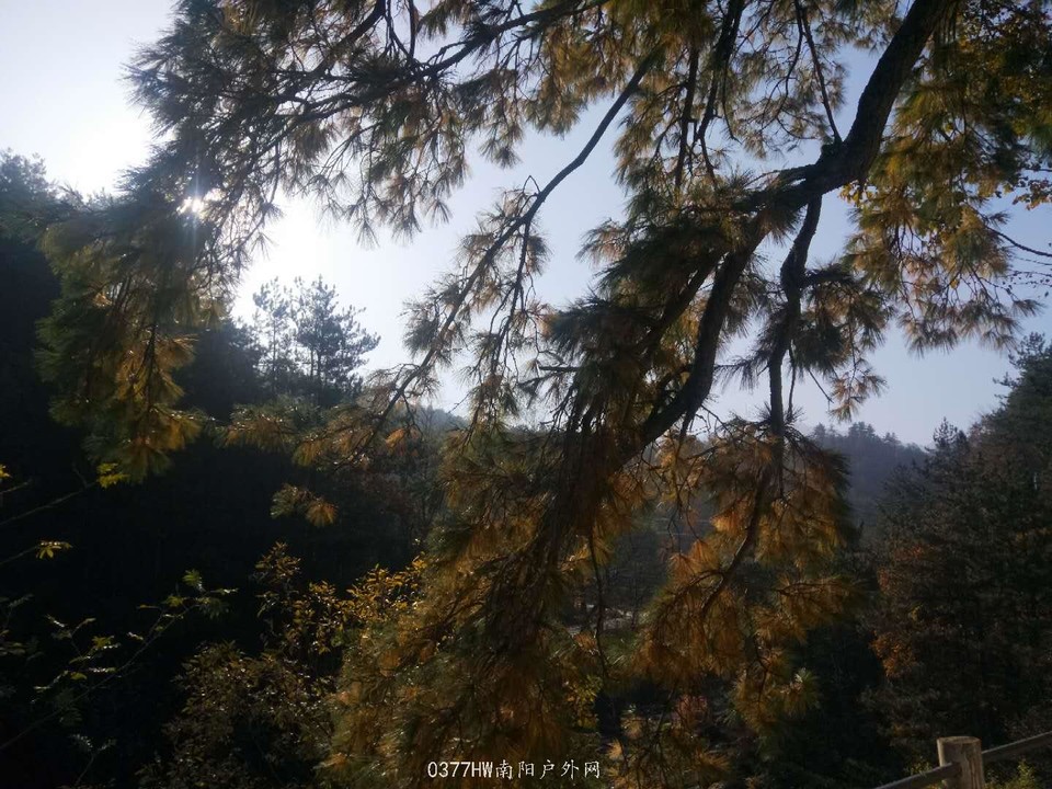 l2DCnRM_jySX1sLW1lT4e1XnXnp4GsqmPbgepQz0reCYPaj4ZJ2MKgVLeNNkd3v4