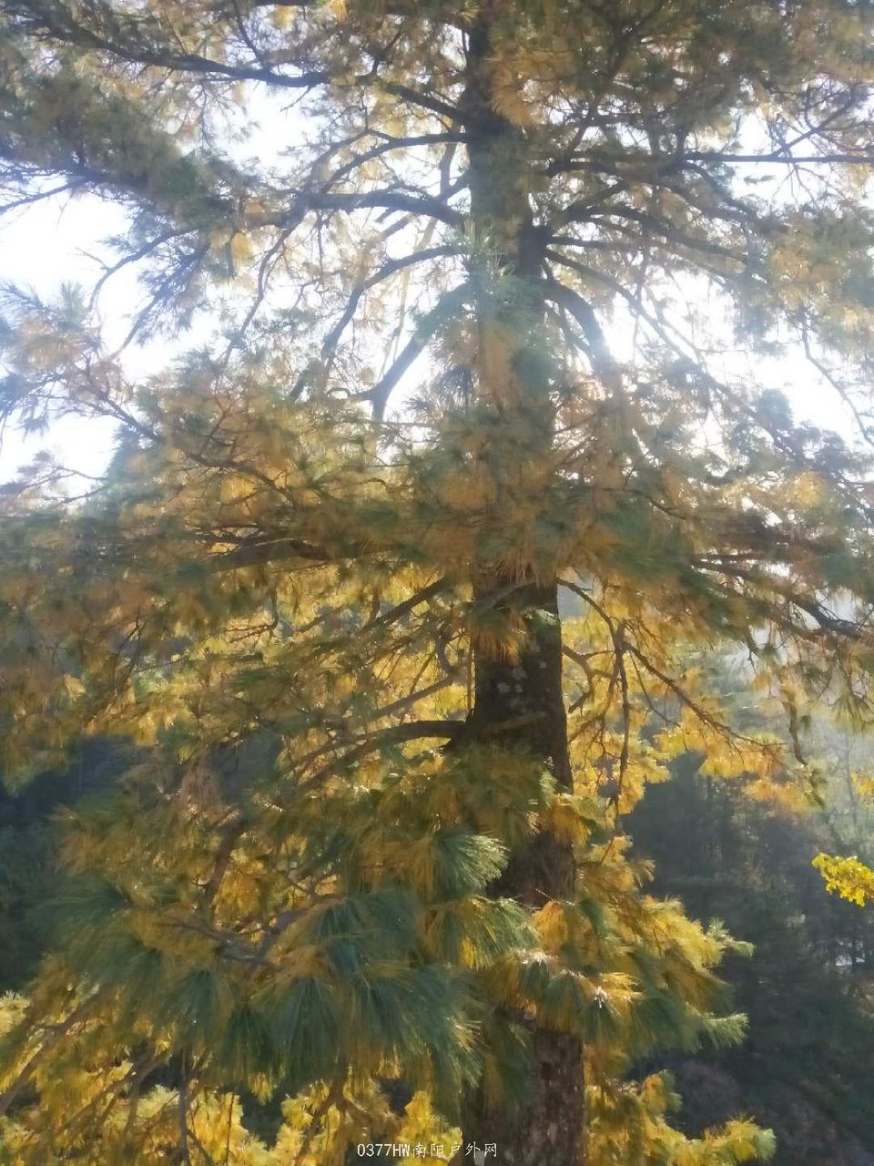 mpRKMeN5lVGpkJYZhI5yBhCgd3RK4X2HjFWui_4Ky1DXbDILS4CTOlU9faAtG9nV