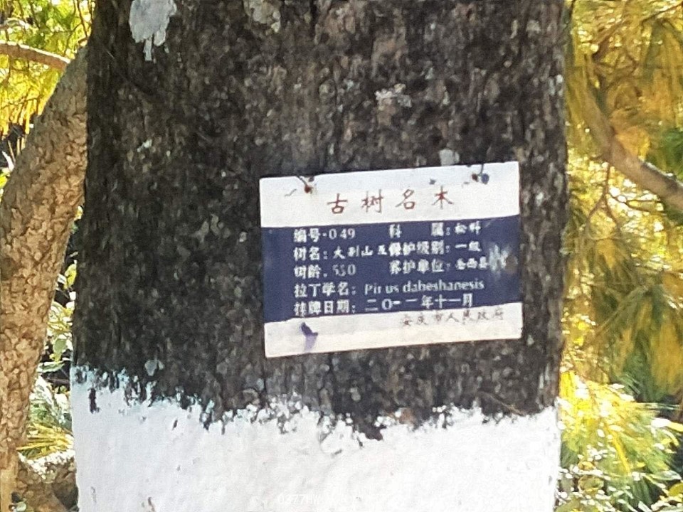 -yTvWsRjhFBiGbn8rUh8aqe9DYcHj37eYuheIP0Q67cDkuv-eqEGRreYlcY4osh7