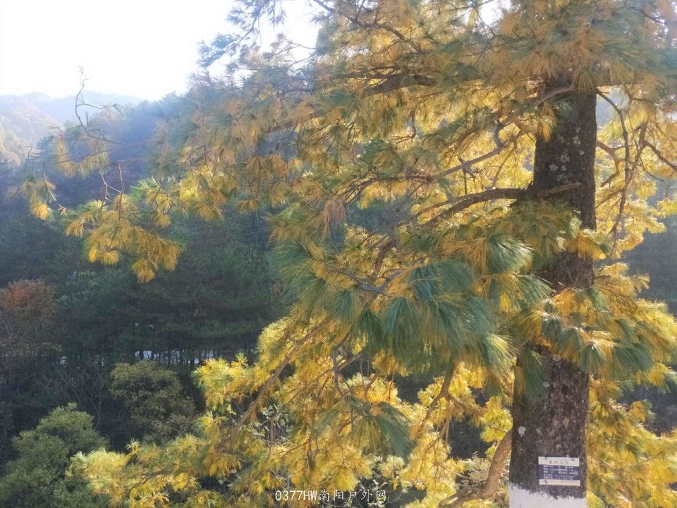 hdwZuYRWgJFO5WBsk-BLai09Lsu-pgCjM3FmrK6ZtKIsERyd3wgconn9nTWYXdw_