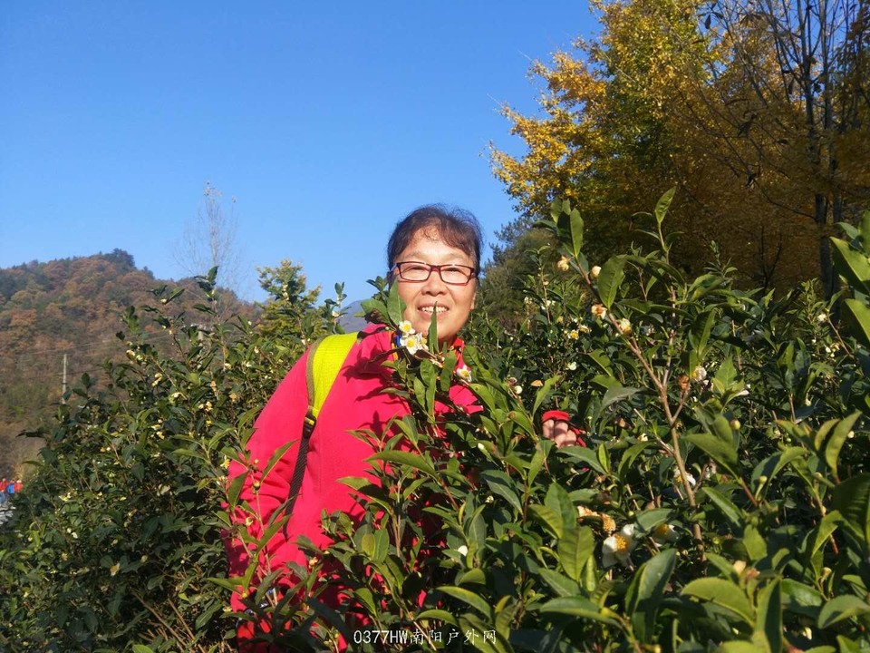 vZQCVmVNpk8gdPvGvuslpuKSMUdi8GpLVFSyLjASRlBMYDr4Q7BmWZkDzCCemLAT