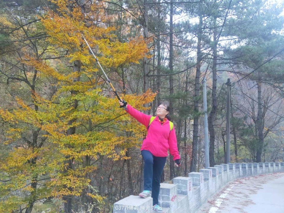 aqD1JzDJPZGYgMZYHumqE-e3QLZ2DC4tq5DFxPZjo31w9V5-p8-Y-EriDvXbA9Dj