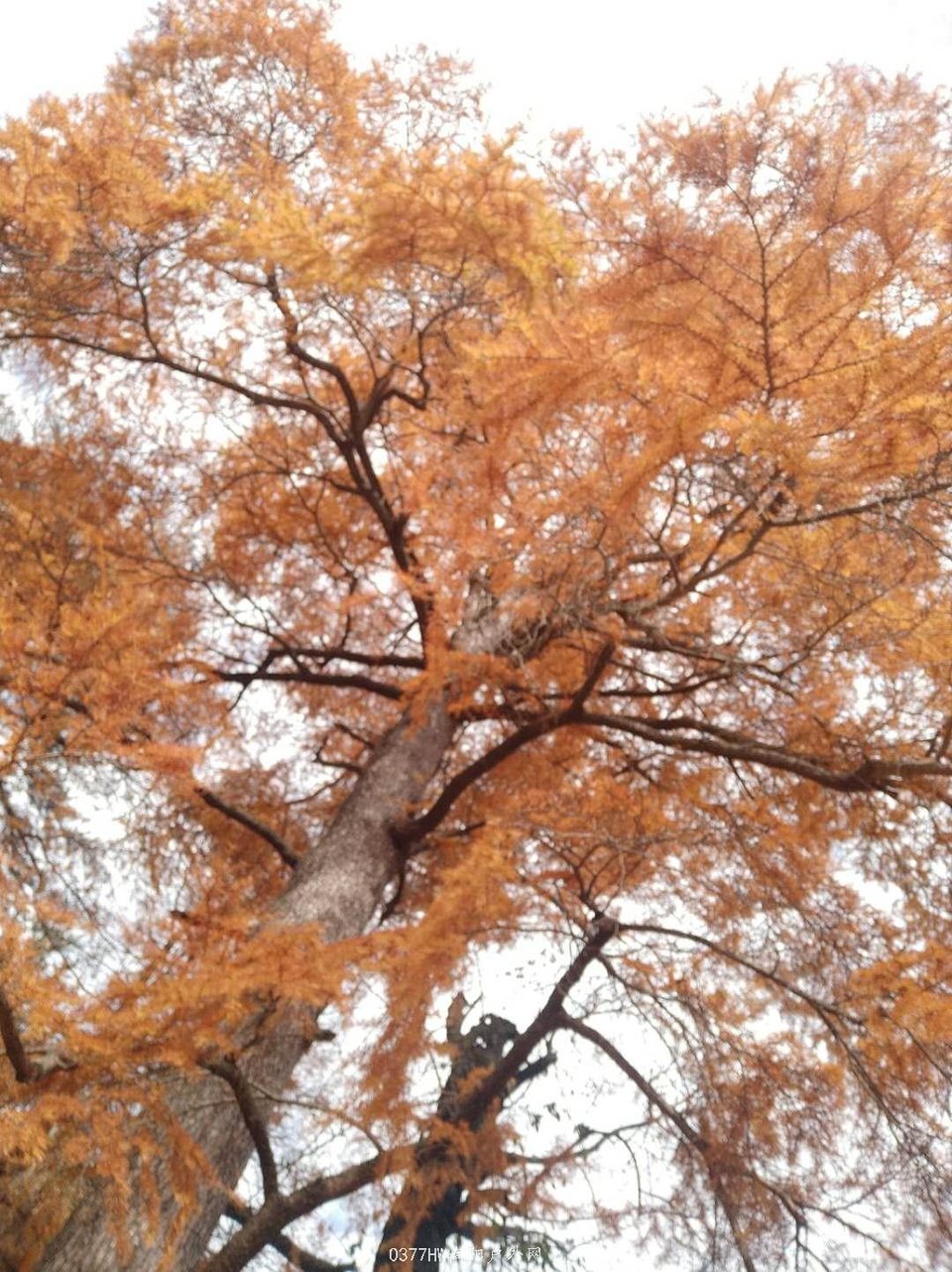 VuMW0xLmfnq3CwixykOfAMFMFcD00pFAfAf2ZkDSOUlebKPzDXjYUrqxI68S1Cz1