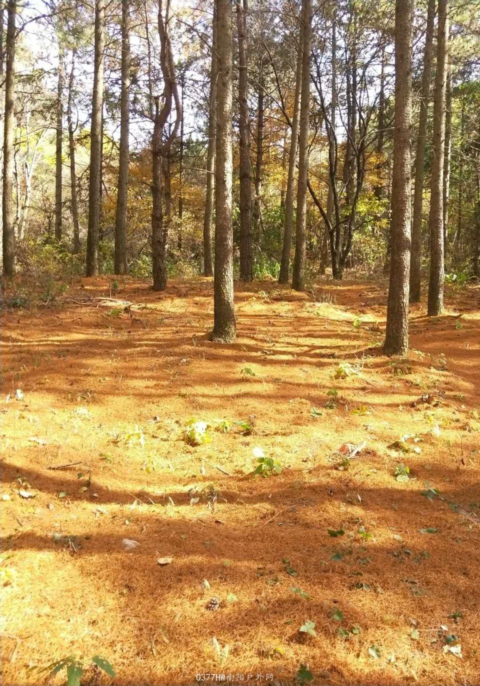 vtQnxWiUszJHx6hhAdEs99TKu8L3t1fq_W23Wyf-M3BCFxED3qiwFdK7Pqd6lrmE