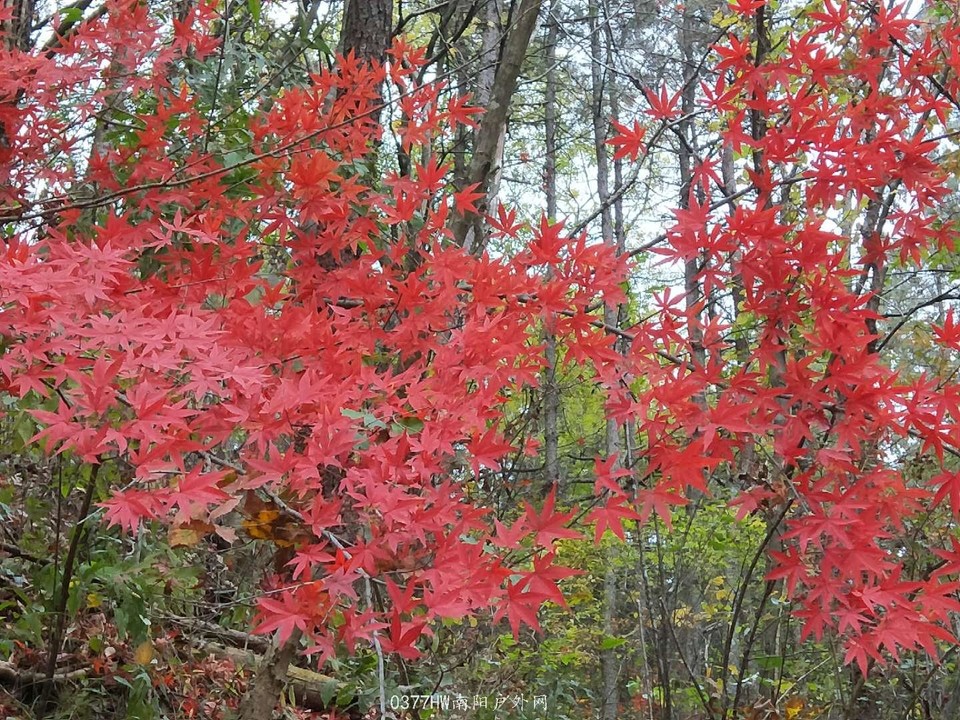 hfPZPf7TQluYJ_JOkJB4bzCLtXrgYeYf6pA2rDDqns3zNiz5yJ2RZpDiBblOV8eX